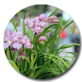 Horticulture